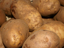 Калининградцу не разрешили привезти домой 16 кг картошки из Белоруссии