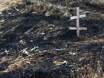 Мусор и сухие поля за длинные выходные подожгли 17 раз
