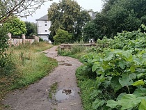 В Калининграде назвали место для выхода на Невского без грязи
