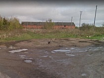 Житель Нестеровского района устроил у себя дома наркотическую ферму