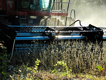 В поле под Гурьевском загорелся комбайн