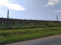 Со свалки под Гусевым сбросили опасный фильтрат 