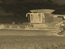 “Бесконечная история с насосами” погубила урожай в 30 муниципалитетах Калининградской области