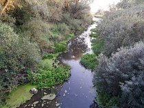 В Черняховске погибла 45-летняя женщина, пока её муж спал в машине  