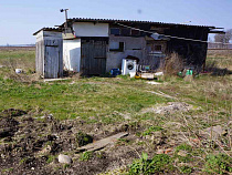 Россельхознадзор наказал дочку «Газпрома»