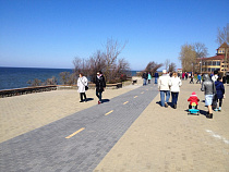 Сергей Кошевой предложил зеленоградцам решить, нужен ли им городской автобус