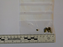 Калининградец хотел приехать в Польшу с марихуаной