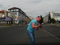 В Калининграде водитель спас котёнка, выбежавшего на дорогу (видео)