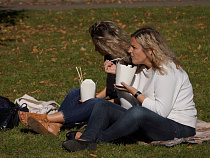 За неделю клещи укусили 185 калининградцев