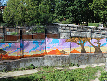 В Калининграде разрисовали вольер львов, пока хищники обедали