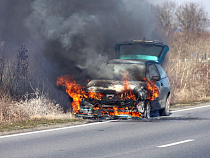 Под Калининградом сгорел автомобиль