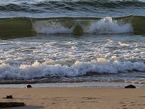 Под Пионерском найдено тело утонувшей 13-летней девочки