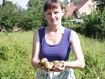 Семья Алиханова из Светлогорска поблагодарила губернатора за картошку