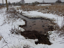 Отходы зверохозяйств попали в водоемы Гурьевского района