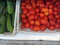 80% томатов из Турции оказались заражены опасным вирусом
