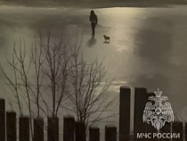 В Калининграде за вечер вплотную к смерти подошли четыре ребёнка