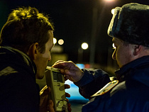 Инспекторы ГИБДД насобирали по шоссе дюжину пьяных водителей