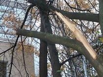 РБК: Калининградская область на 42-м месте в России по самоубийствам