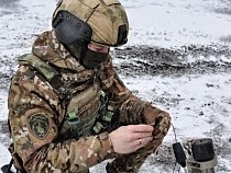 В Калининградской области нашли более 6 кг взрывчатки
