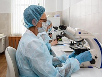 В Калининградской области за сутки подтверждены 59 случаев коронавируса