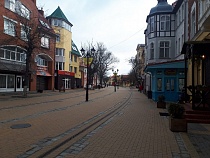 В Зеленоградске украли янтарную сову