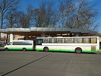 Власти ответили на вопрос введения QR-кодов на междугородных автобусах