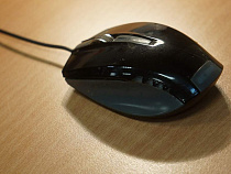 В Калининграде недостаточно разработчиков ПО для фонда пространственных данных