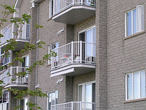 Кушхов: мы продолжим искать инвестора для ООО «Ганза Сервис»