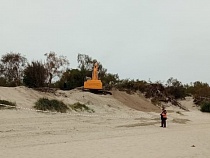 В Зеленоградске после совещания приостановили разрушение дюн