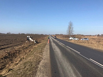 Под Гурьевском перевернулся «Митцубиси» с 77-летним водителем за рулём