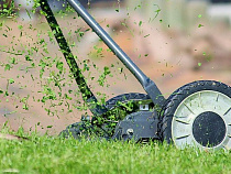 Воищев показал, с помощью чего в Советске косят траву (видео)