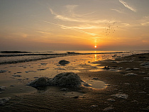 Санэпидстанция закрыла пляжи в Гданьске и Гдыне