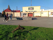 Алиментщица попалась в жилой зоне Багратионовска