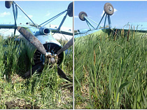 ДОСААФ признало серьёзный авиационный инцидент в Калининградской области