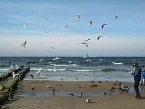 Выходные в Калининградской области выпадают на тёплую и сухую погоду