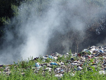 Калининградских врагов экологии призовут к ответу 