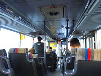 В калининградских автобусах и троллейбусах расклеили более 3 тысяч памяток по пропаганде здорового образа жизни