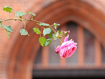 Экономические льготы Калининградской области сохранятся