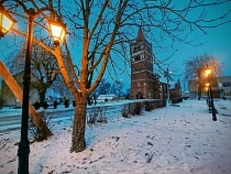 Покусанной у школы в Правдинске 10-летней заплатят 20 тыс. рублей