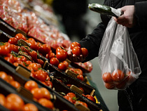 Россия расширила список стран, попадающих под продуктовое эмбарго