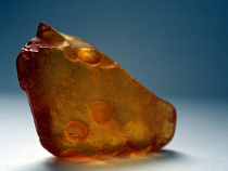 Бригаду старателей с мотопомпами задержали под Зеленоградском