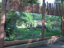 Калининградский зоопарк в 2015 году: 414 детенышей, 310 туй и 11,5 млн рублей на реконструкцию и строительство