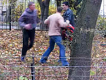 Внутренним войскам МВД предложено заняться Калининградом