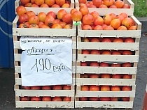 ЦБ: санкции против Турции вызовут рост цен на продовольствие