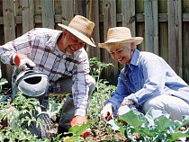 Калининградским дачникам компенсируют часть затрат на проезд к садовым участкам