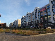 Шоколадный вор из Калининграда попался в Пионерском 