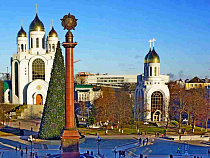 В Калининграде можно жениться и заказать охотничий билет через интернет