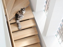 Калининградка получила доход от кинувшего её мастера 