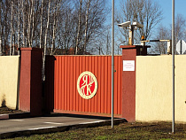 Росприроднадзор оштрафовал Калининградский янтарный комбинат за рекордную добычу янтаря на 0,5 млн рублей