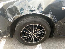 В Калининграде собаки зверски истерзали «Шевроле»